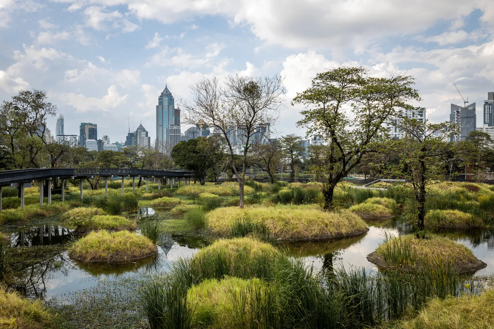 The elevated walkway and wetland islands of Benjakitti Forest Park with Bangkok towers behind
